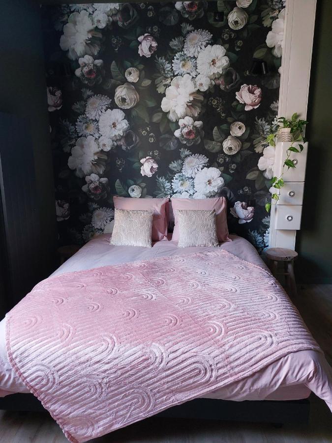 Appartement Madame Bergamote à Nancy Extérieur photo